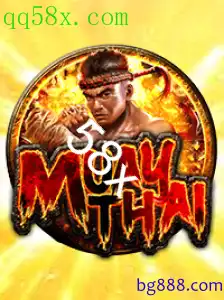 MuayThai: Explorando o Jogo e suas Regras